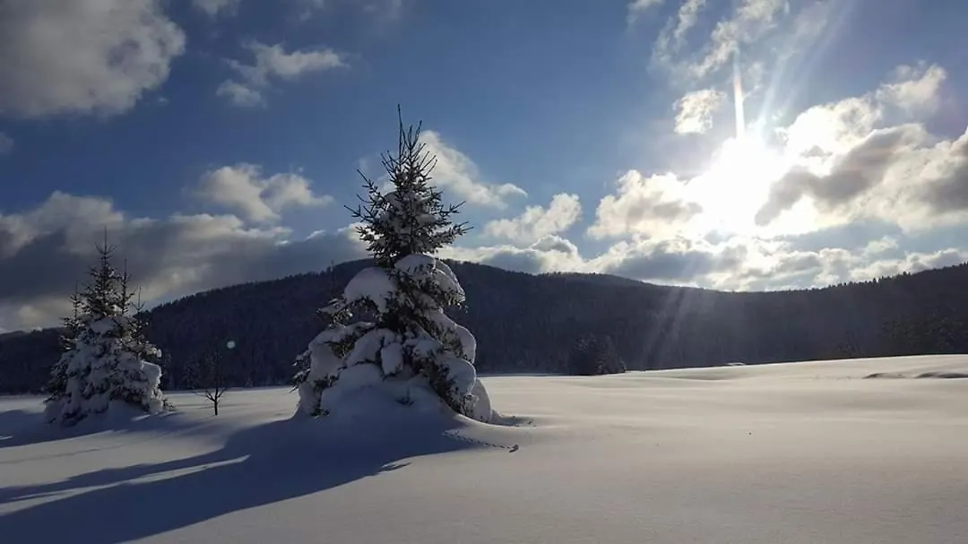 Kuca Za Odmor Anima Villa Ravna Gora